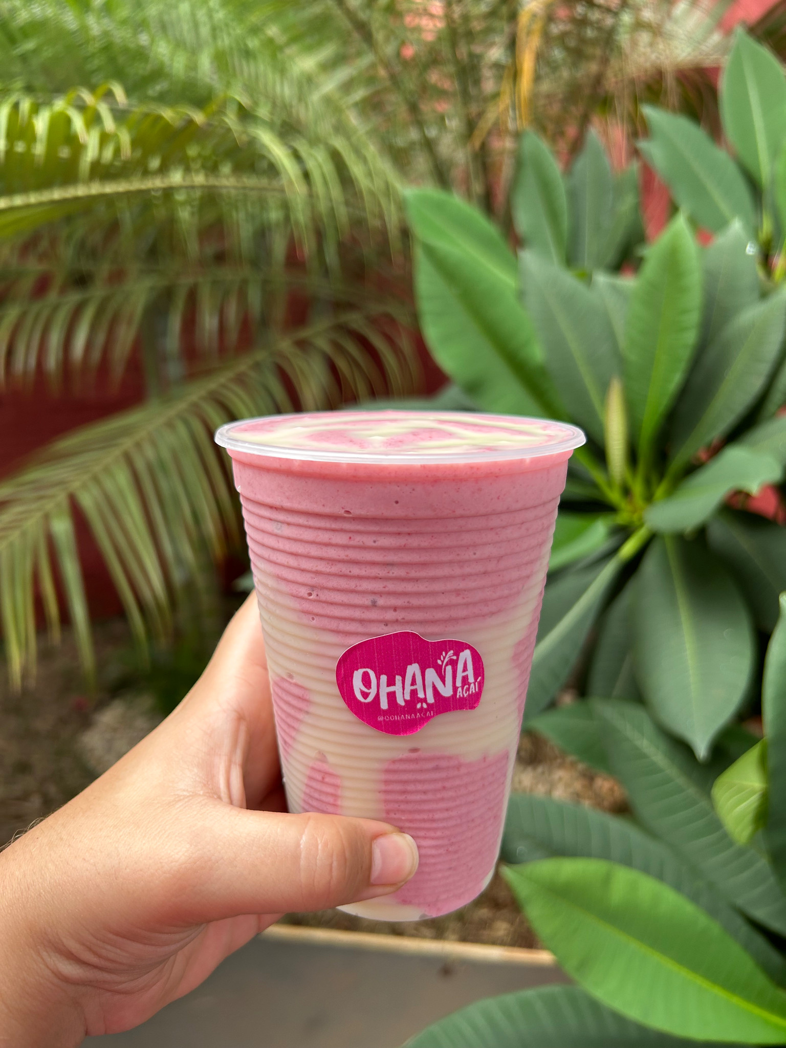 CREME DE MORANGO 500ml  🥛🍓