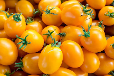 TOMATE CEREJA AMARELO 