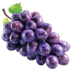 UVA ROXA