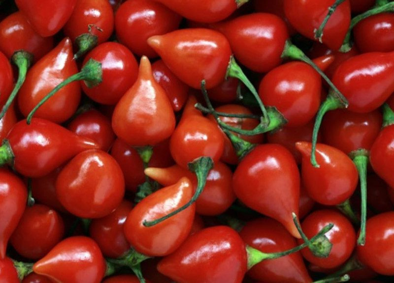 AD PIMENTA BIQUINHO