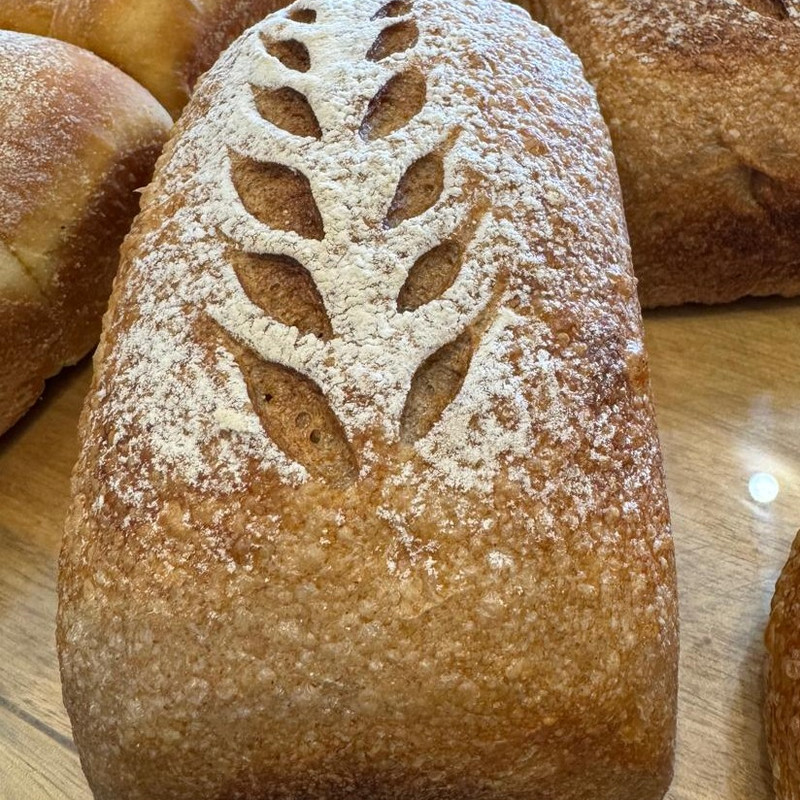 Pão semi integral