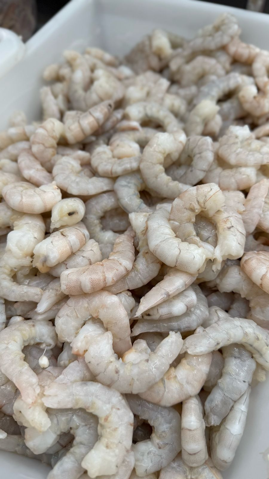 Filé de camarão branco (1kg) 