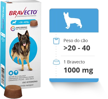 Bravecto 20 a 40 kg - 1 Comprimido