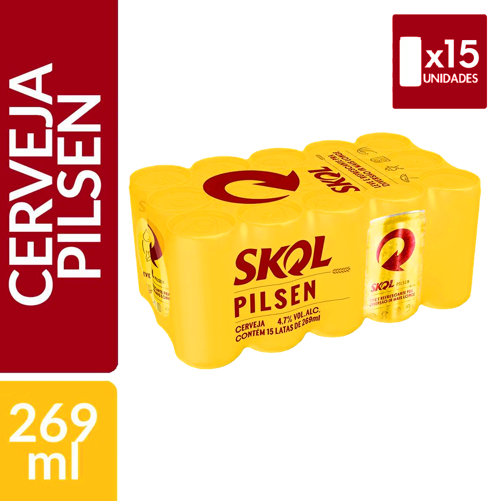 CAIXA SKOL 269ML