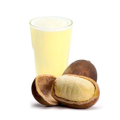 SUCO DE CUPUAÇU 500ml