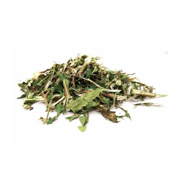 Erva Santa Maria (100g)