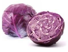 Repolho Roxo
