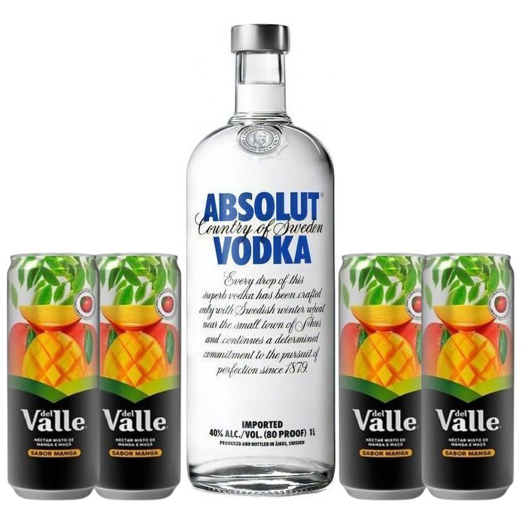 ABSOLUT SUCO COMBO