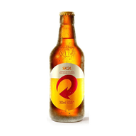 CX SKOL 300ML