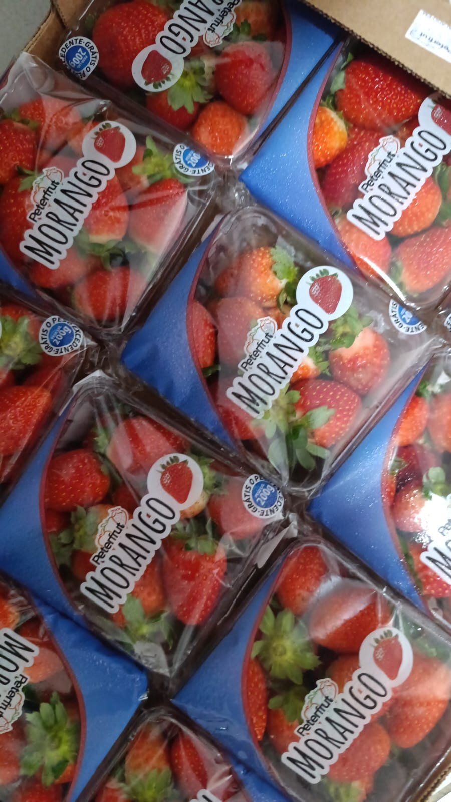 MORANGUITO PETERFRUT  220g
