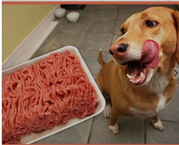 CARNE MOIDA PARA CACHORRO 700G