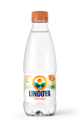Água Natural Lindóia 310ml