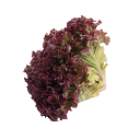 ALFACE ROXA