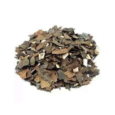 Abacateiro (100g)