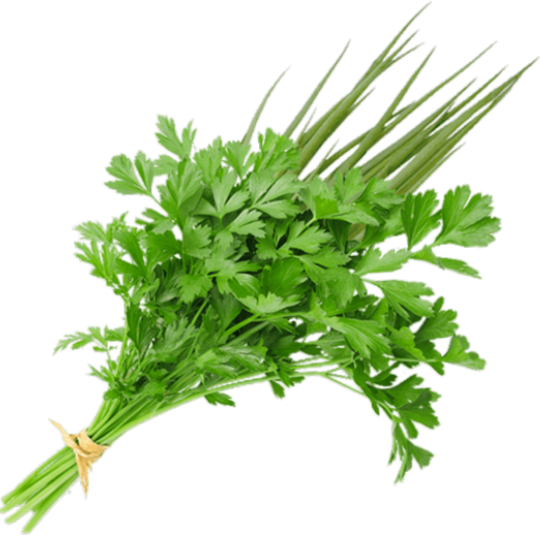 CHEIRO VERDE UNIDADE