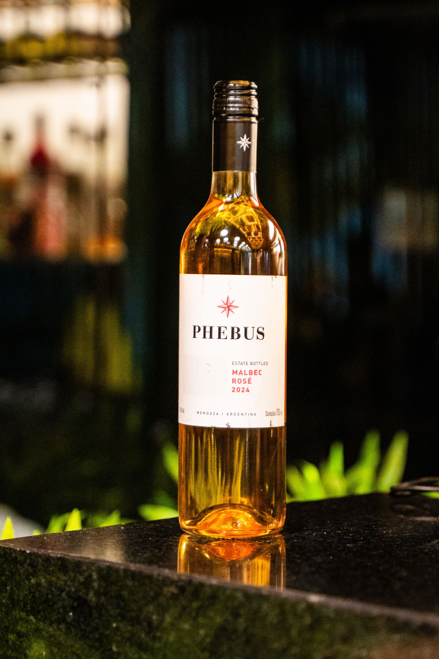 PHEBUS ESTATE ROSE 