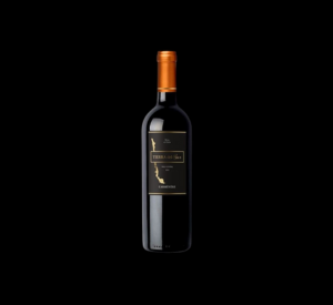 VINHO TIERRA DEL SUR CARMEN 750ML