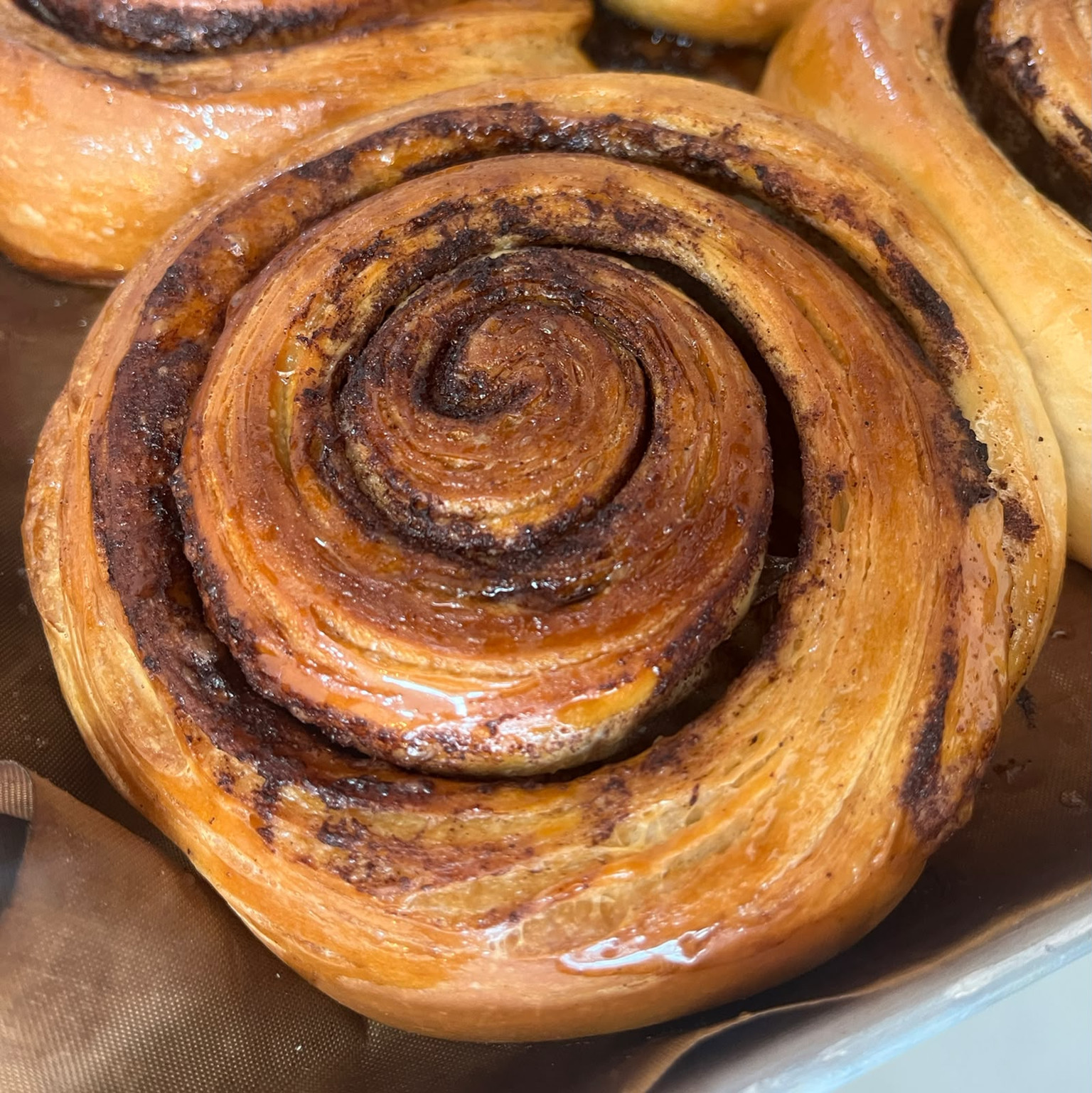 Cinnamon Roll 
