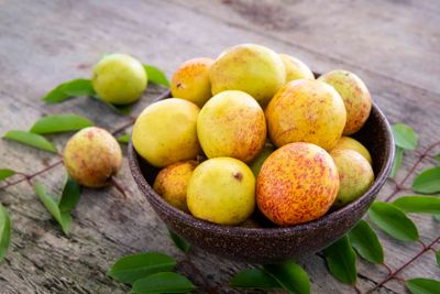 MANGABA