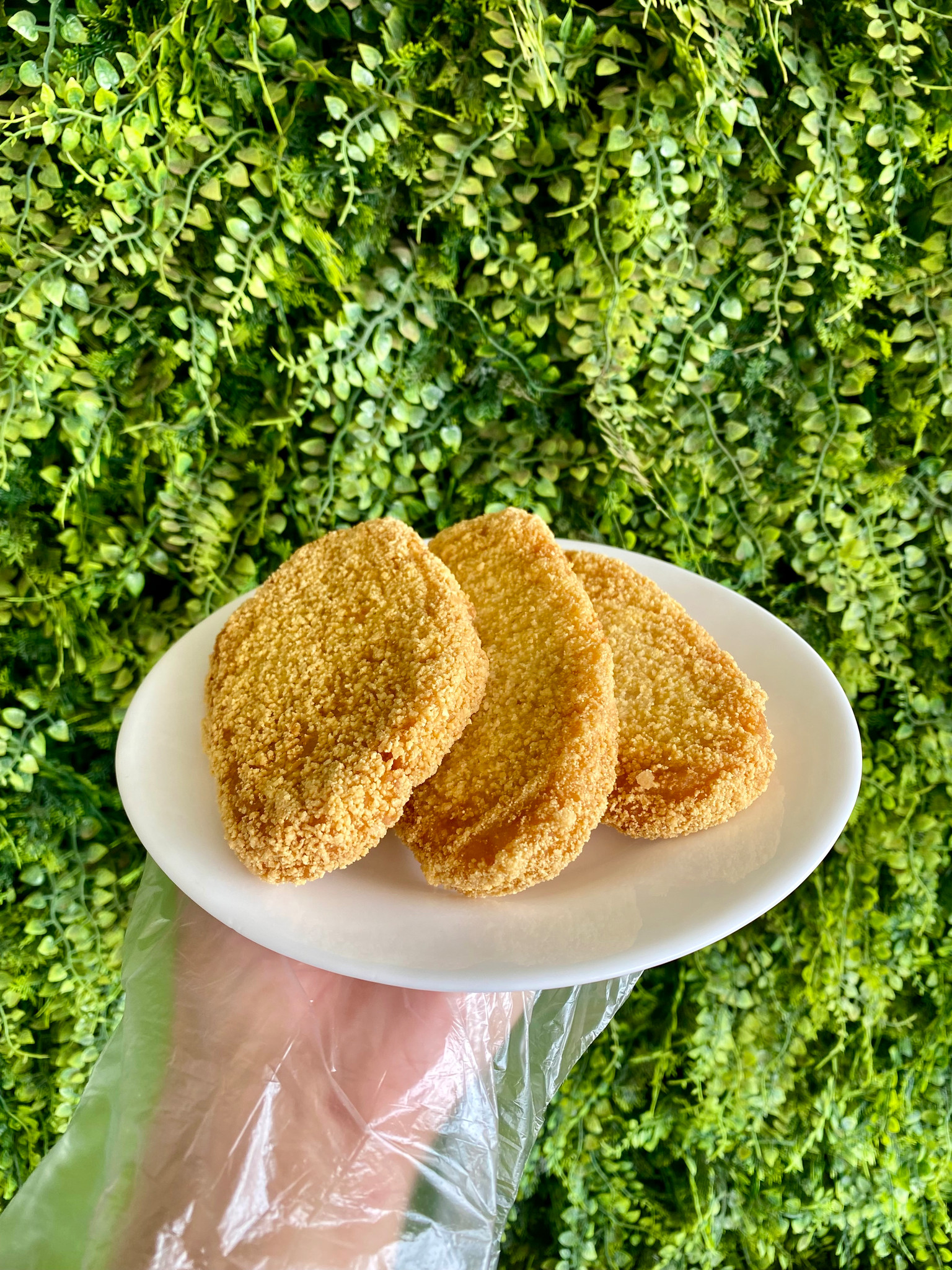 Empanado de Frango