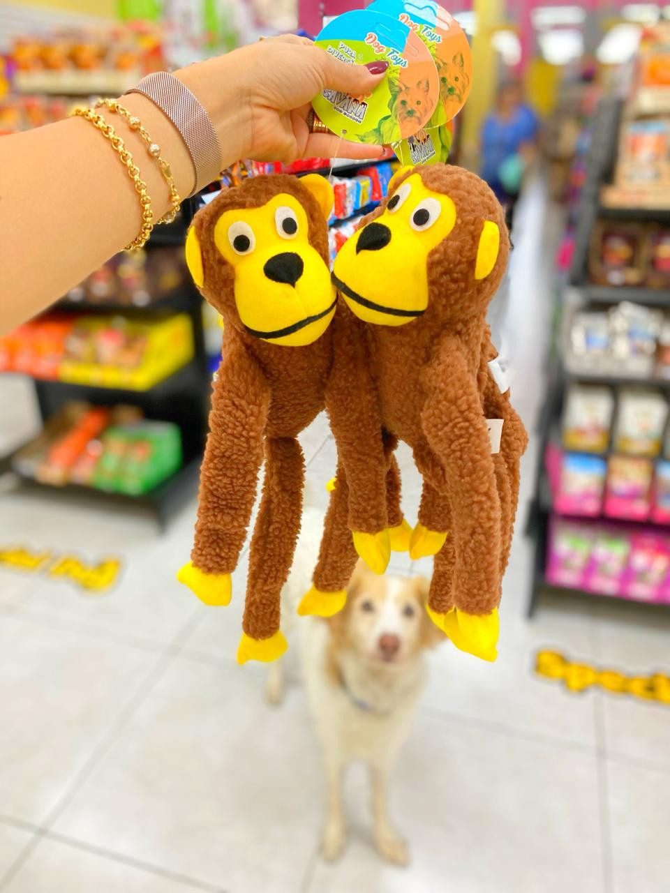Macaco Pelucia