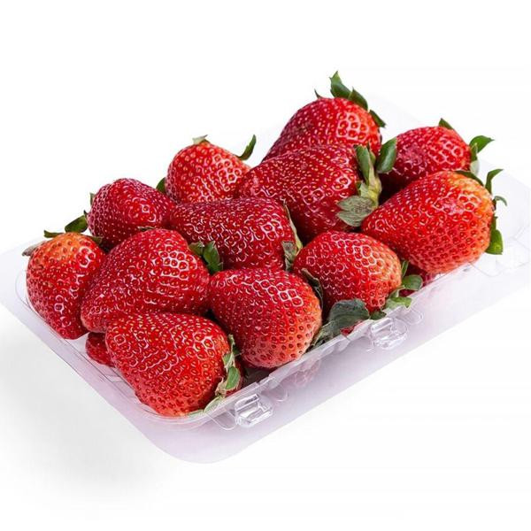 MORANGO BDJ FRUTA