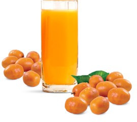 SUCO CAJA 300ML