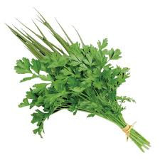 HFSALSACHEIRO VERDE