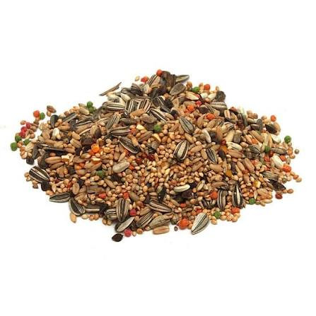 Mistura De Calopsita (100g)