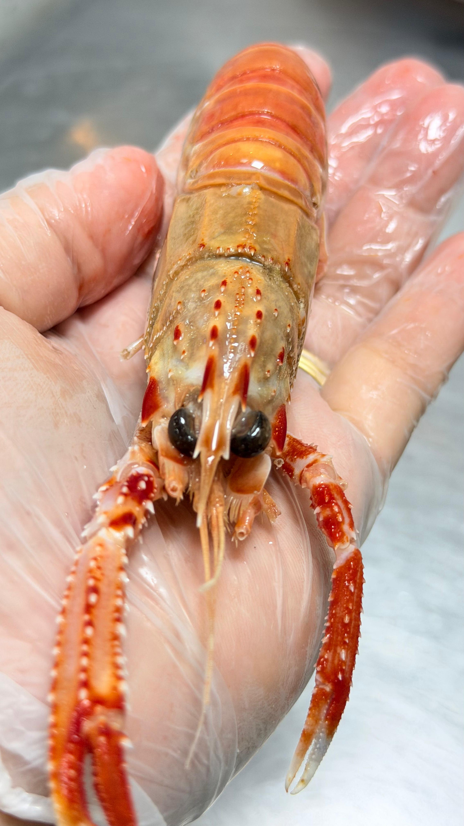 Lagostim congelado (1kg)