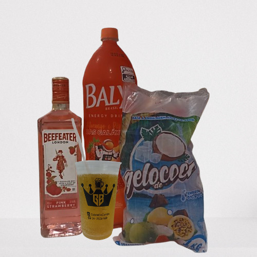 Combo Gin Beefeater 6 gelos saborizados