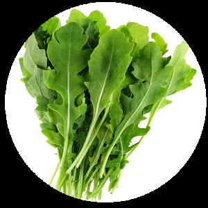 RUCULA