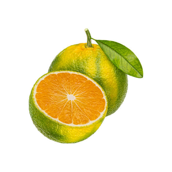 LARANJA CUTRALE KG