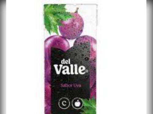 Suco Dell Vale Uva 290ml