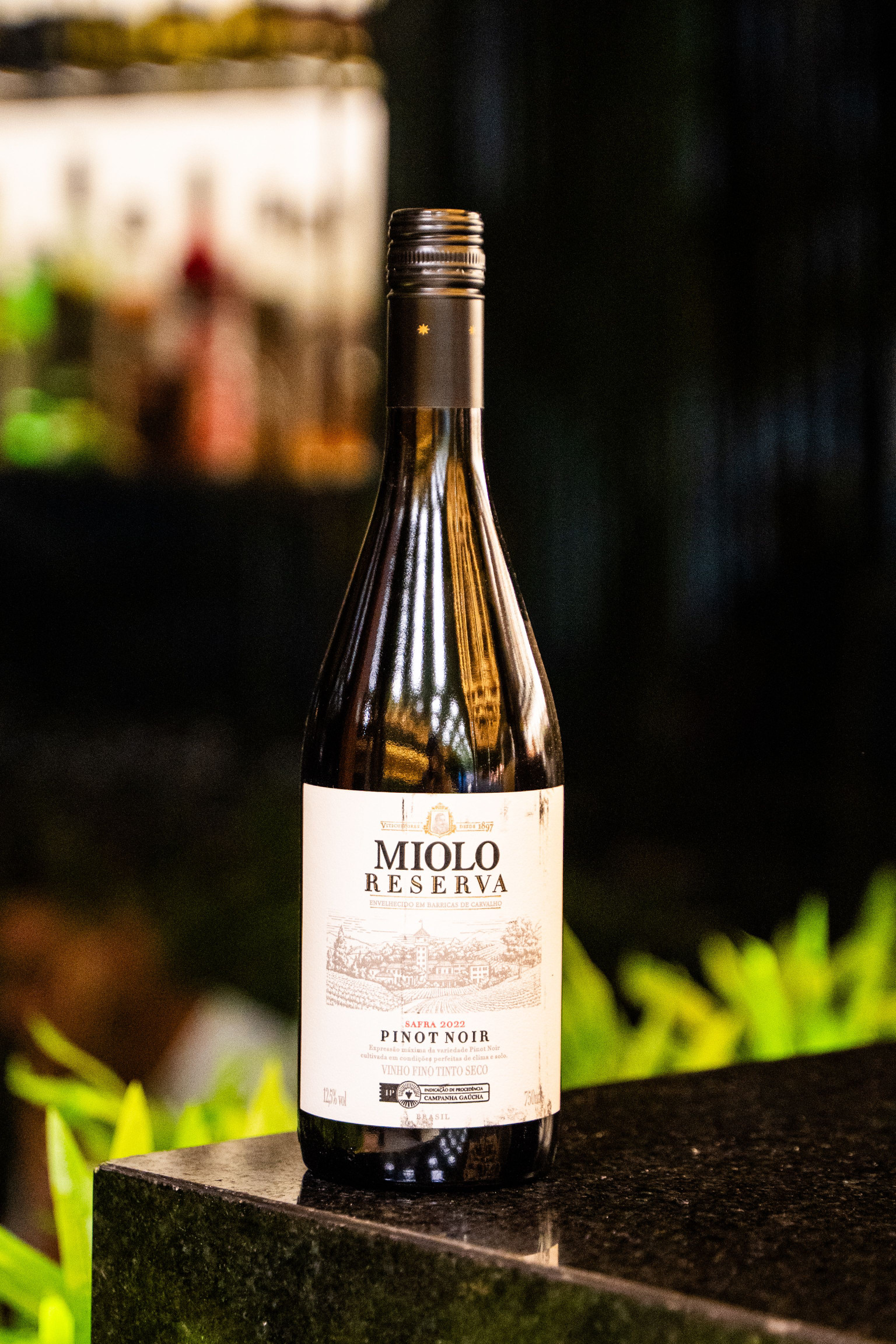 MIOLO RESERVA PINOT NOIR 