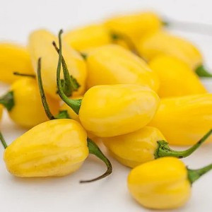 PIMENTA AMARELA