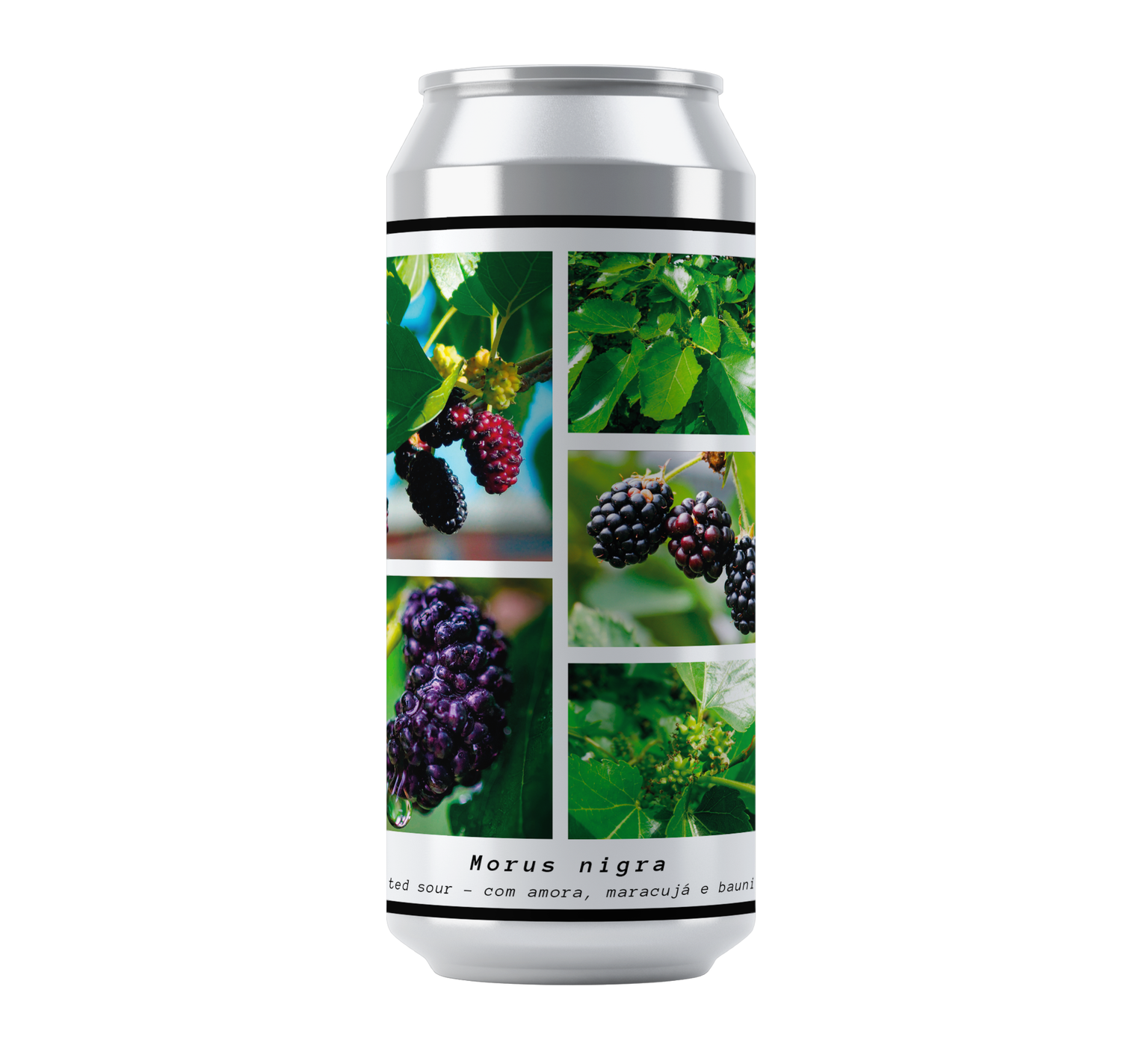 Greenhouse Morus Nigra 473ml