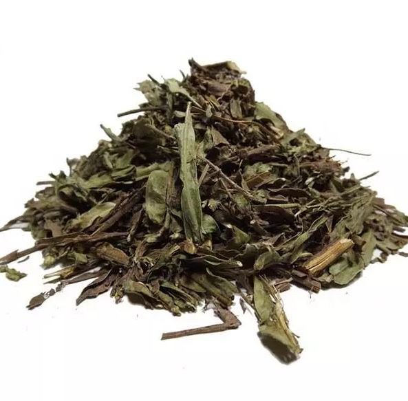 CARQUEJA KG