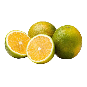 LARANJA PERA RIO