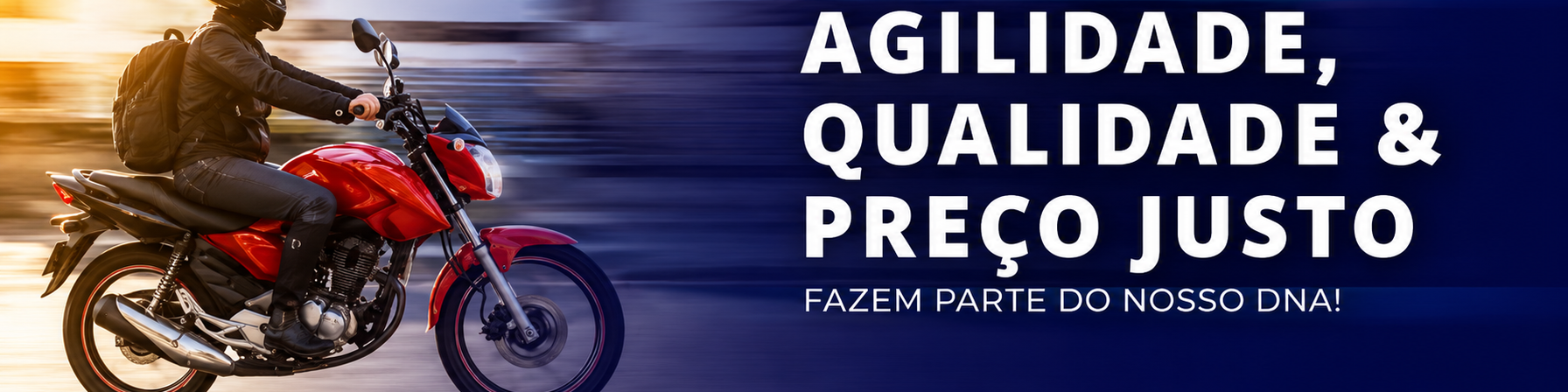 HM DISTRIBUIDORA DE AUTOPECAS