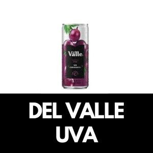 DEL VALLE UVA 290ML
