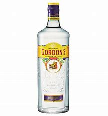 GIN GORDON'S