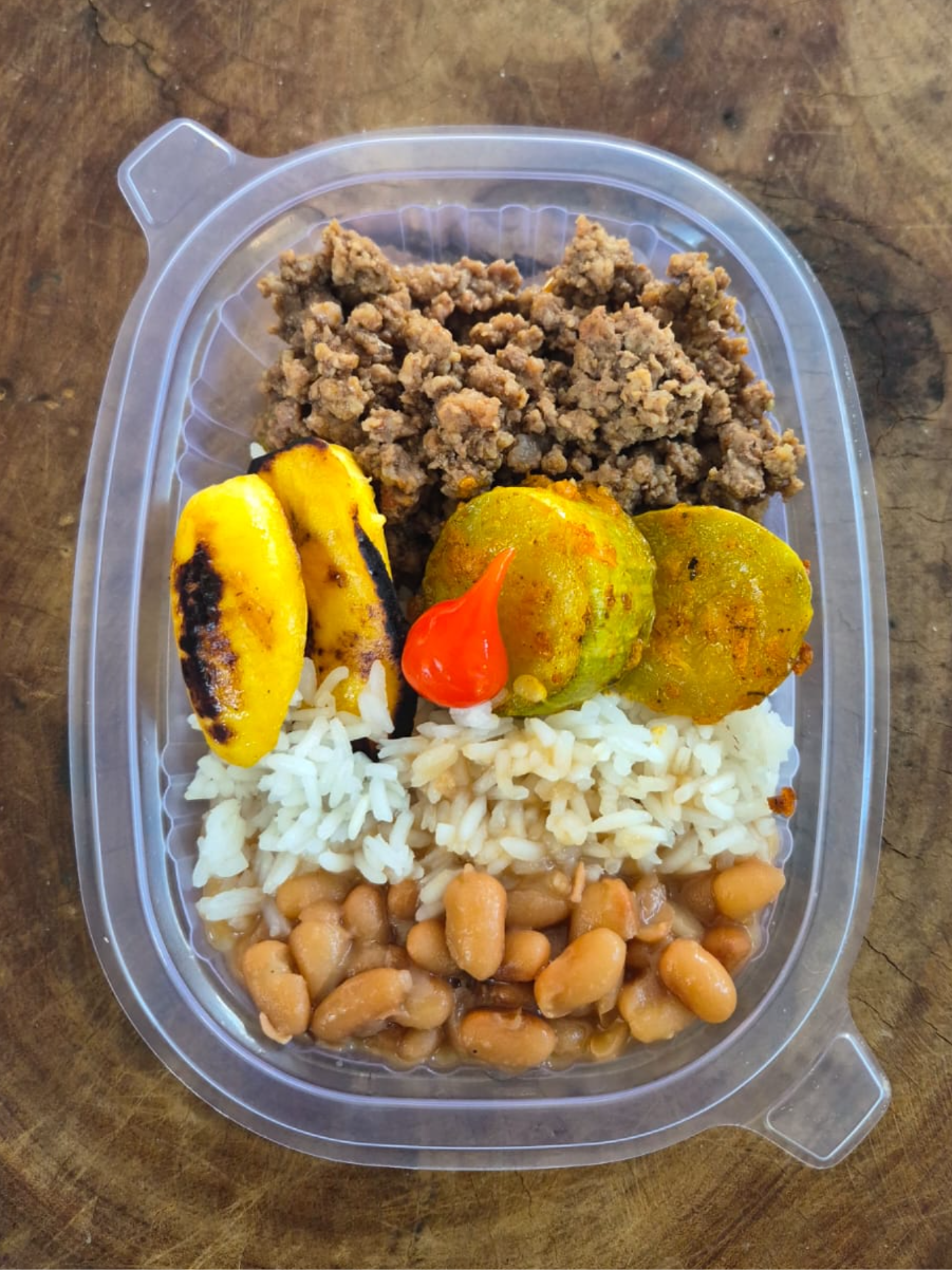 CARNE MOÍDA C/ ARROZ INTEGRAL 220 GRAMAS Congelado.