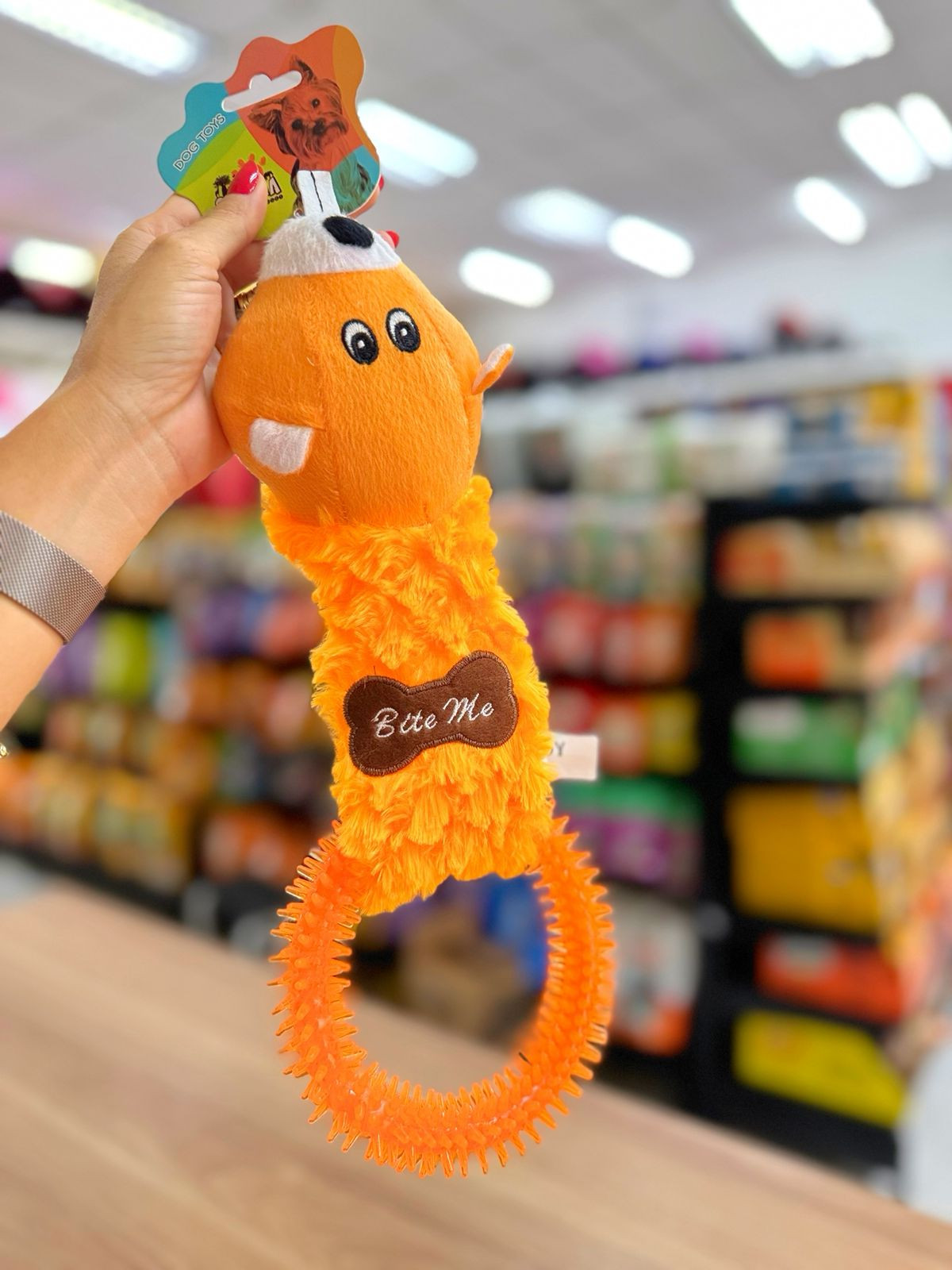 Brinquedo com Mordedor Esquilo Laranja 