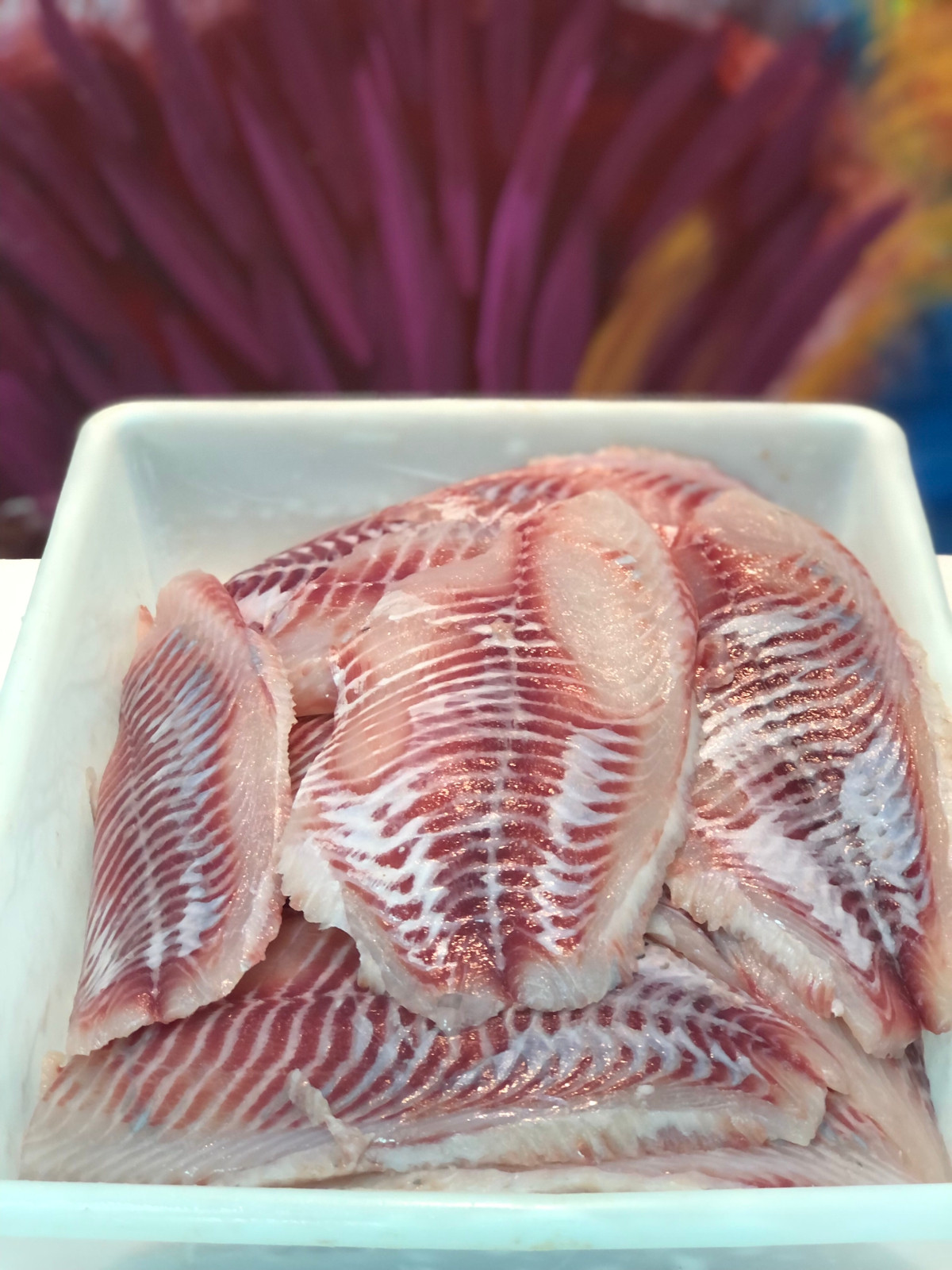 Filé de tilápia fresco (500g)