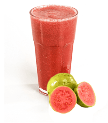 GOIABA COPO 500ML