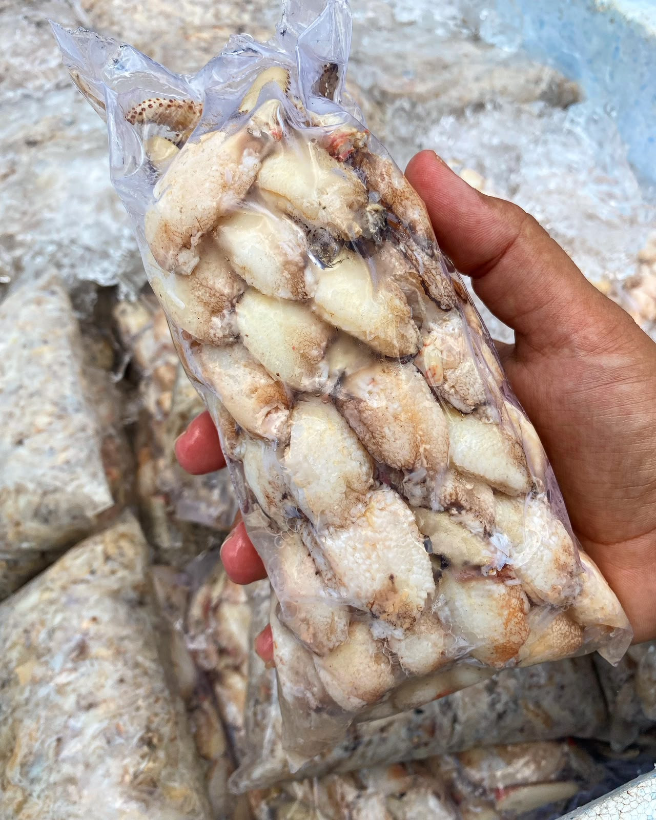 Patinha de caranguejo (1kg)