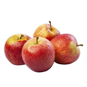 MACA KG