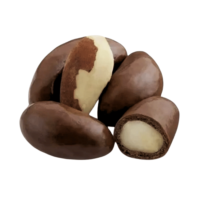 CASTANHA DO PARA DRAGEADA