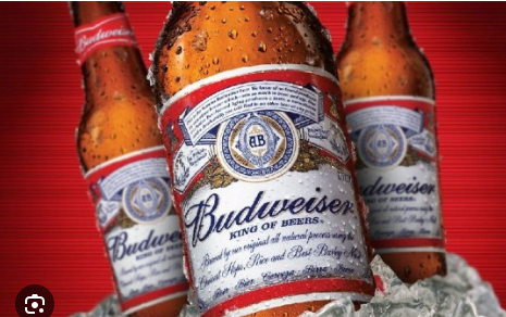 CERVEJA BUDWEISER 600 ml